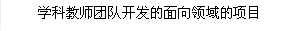 学科教师团队开发的面向领域的项目